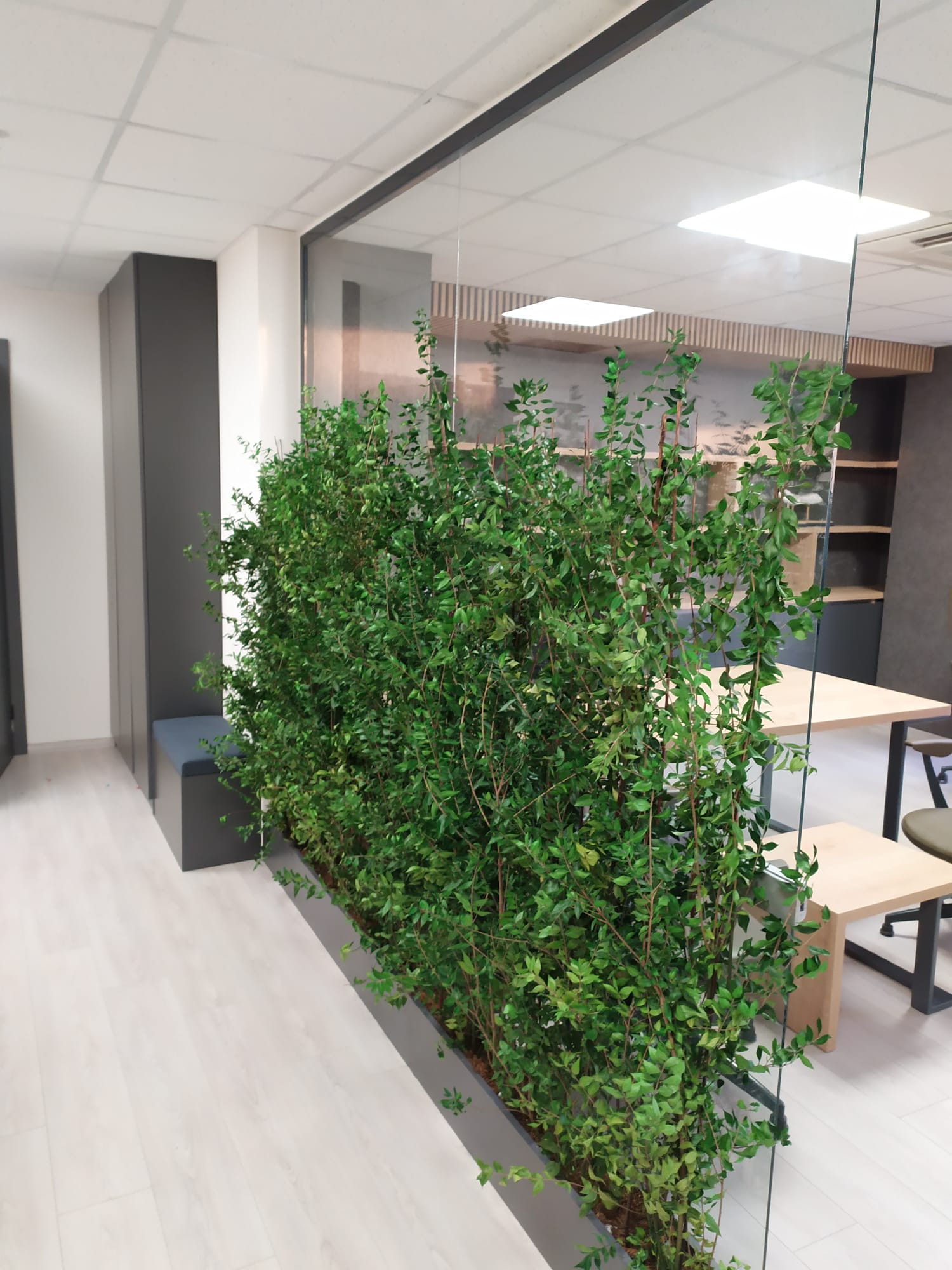 Ofis Tadilat Dekorasyon